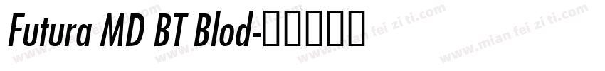 Futura MD BT Blod字体转换